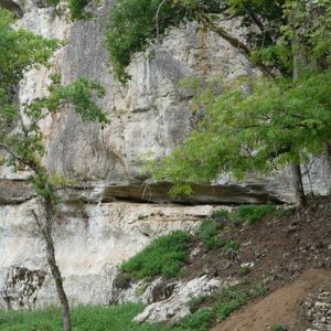Entrance to Abri Blanchard rock shelter at Castel Merle, Dordogne, France