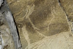 Altxerri Cave, Aurignacian engravings Engraved drawing of a Saiga antelope, Altxerri Cave, Basque Country