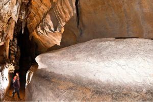 Photo of the engravings gallery in Atxurra Cave, showing dozens of finely engraved pictures of horses