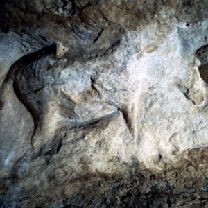 Cap Blanc frieze of animal carvings Eroded figure of horse at Cap Blanc. From the cave's frieze of relief sculpture