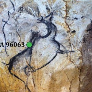 Radiocarbon dating of Charcoal drawing of Megaloceros giganteus, Chauvet-Pont-d'Arc Cave