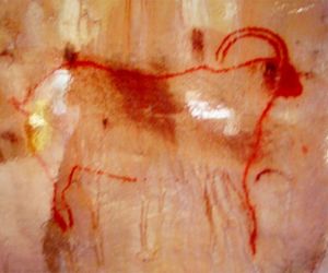 Cougnac Cave, ibex painting Red ochre outline drawing of an ibex at Cougnac Cave