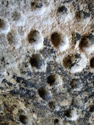 Daraki-Chattan rock shelter, cupules Cup-like hollows, known as cupules, on a wall at Daraki-Chattan rock shelter
