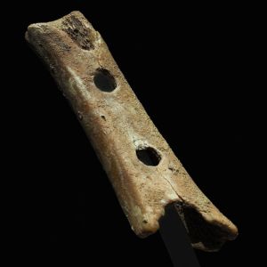 Divje Babe Flute Slovenian Divje Babe Flute, a paleolithic musical instrument made by H. neanderthalensis