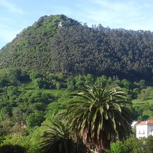 Hill of Monte Castillo, a hotspot of Franco-Cantabrian parietal art