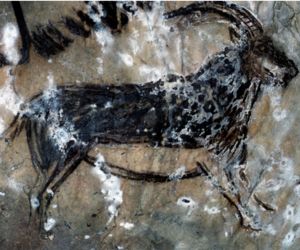 Charcoal image of an ibex from the Salon Noir at Niaux Cave