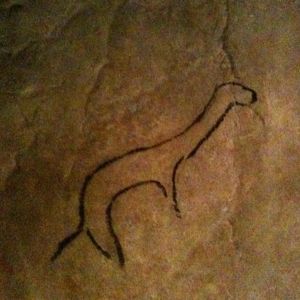 Niaux Cave, weasel drawing Black drawing of weasel, by Cro-Magnon artist, Reseau René Clastres, Niaux