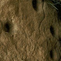 Cupules in Paleolithic Cave