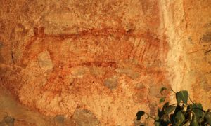 Ubirr rock art Rock painting of the now-extinct thylacine at Ubirr, NT, Australia
